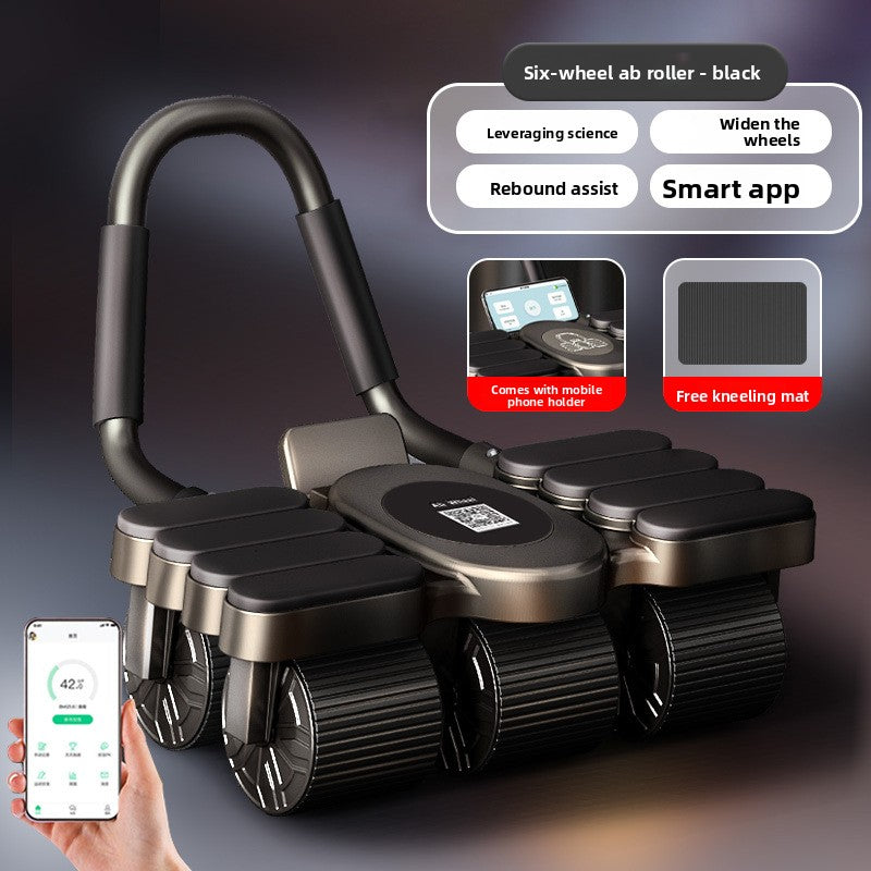 Four-wheel ab roller
