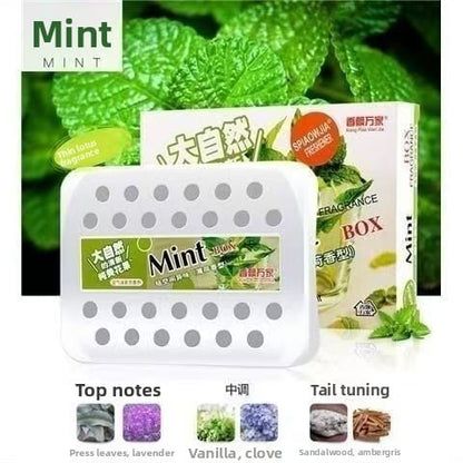 Fragrant Fragrance Car