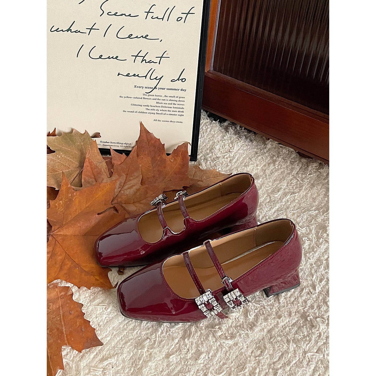 French Style Chunky Heel Mary Jane Shoes for Women