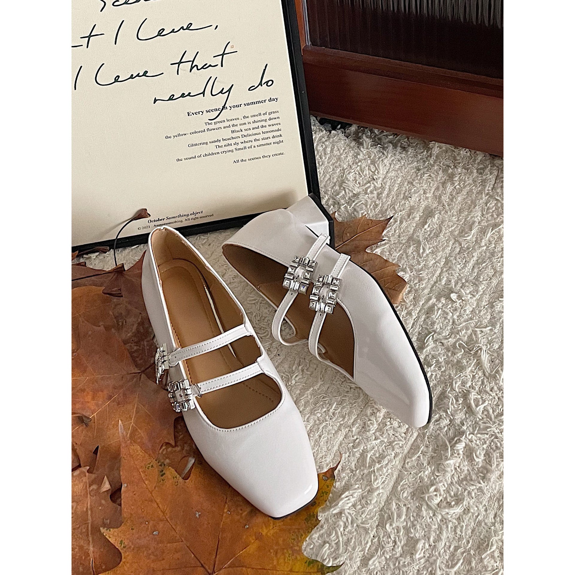 French Style Chunky Heel Mary Jane Shoes for Women