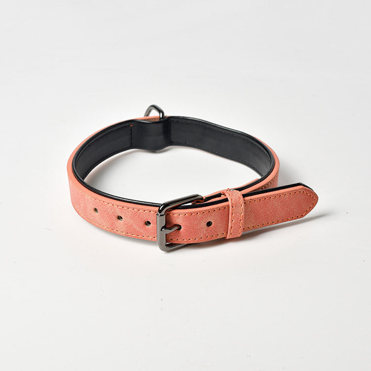 Frosted Anti-Lost Dog Collar