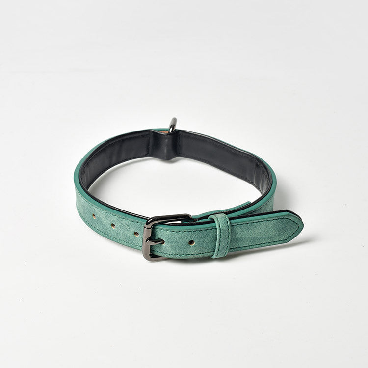 Frosted Anti-Lost Dog Collar