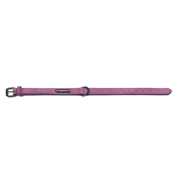 Frosted Anti-Lost Dog Collar