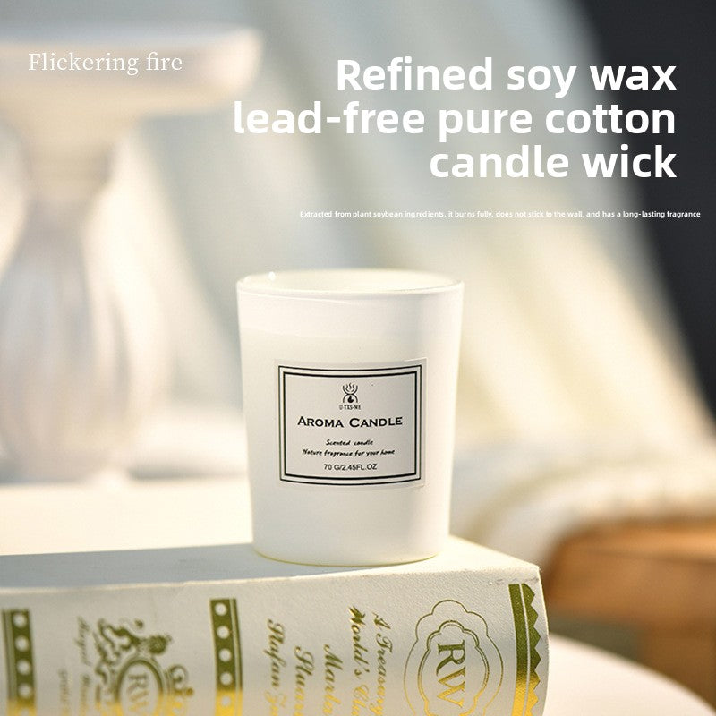 Frosted Cup Aromatherapy Soy Wax Candle