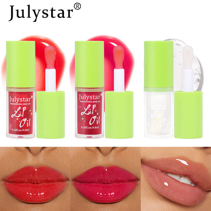 Fruit Flavor Moisturizing Lip Gloss