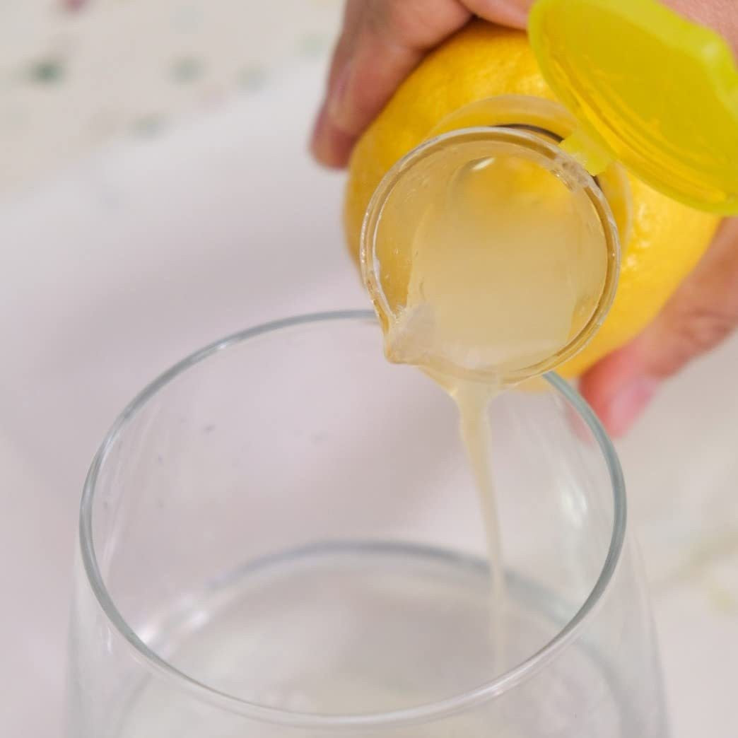 fruit press