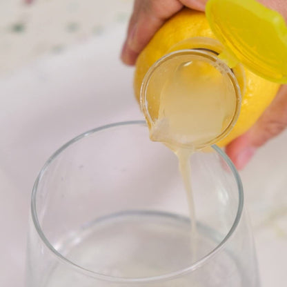 fruit press