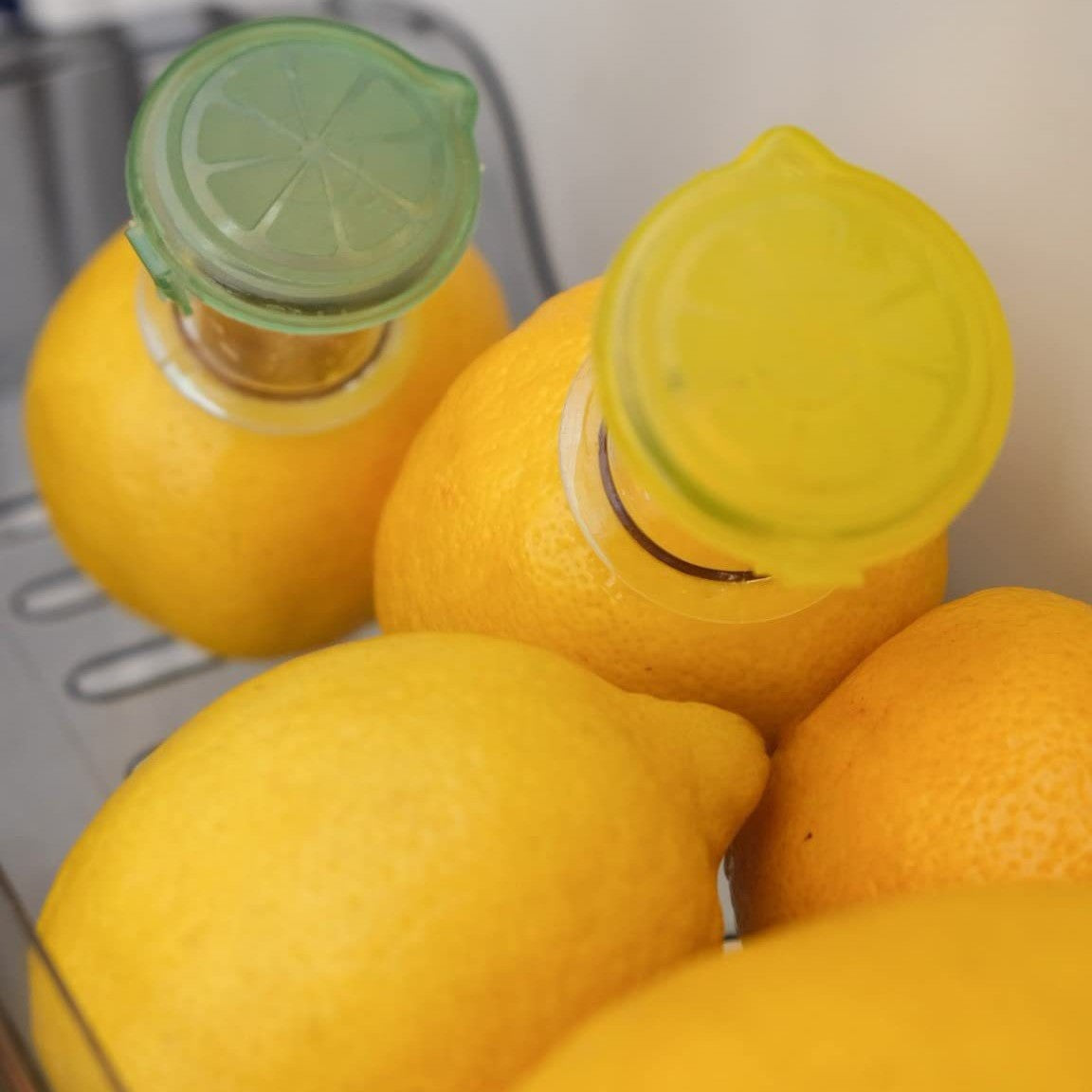 fruit press