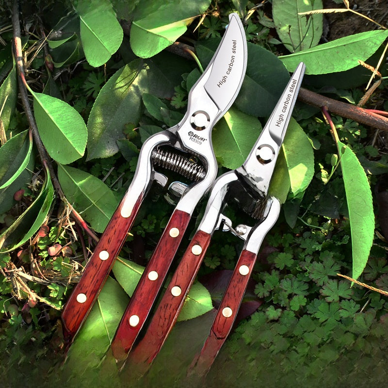 Fruit Tree Pruning Shears