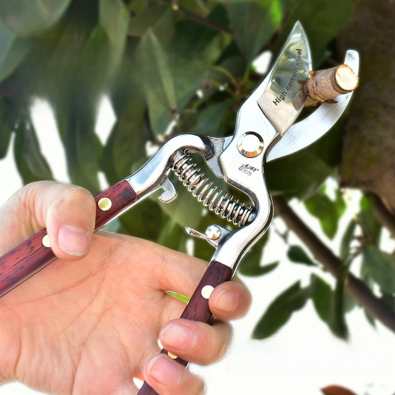 Fruit Tree Pruning Shears
