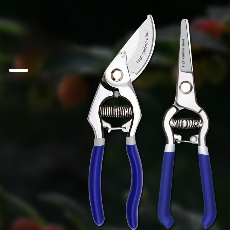 Fruit Tree Pruning Shears