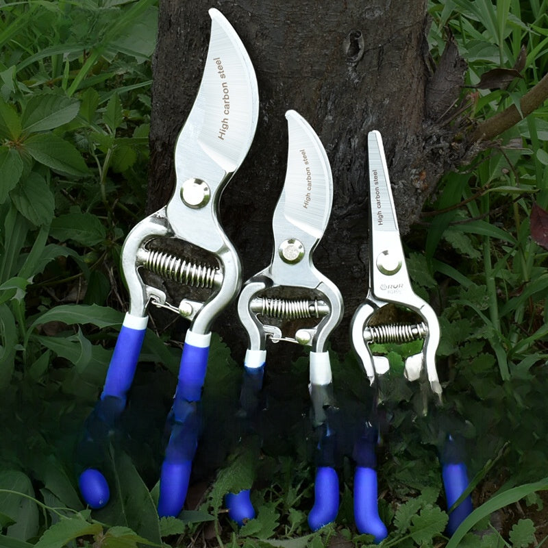 Fruit Tree Pruning Shears