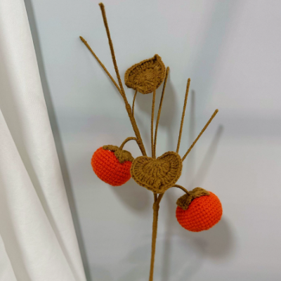 Fruits and vegetables creative hand-crocheted wool