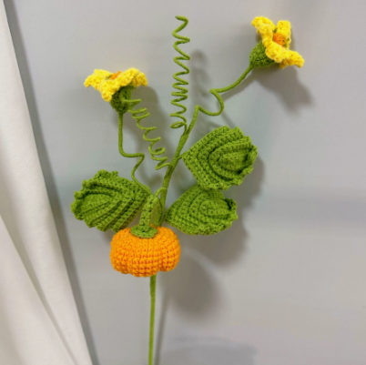 Fruits and vegetables creative hand-crocheted wool