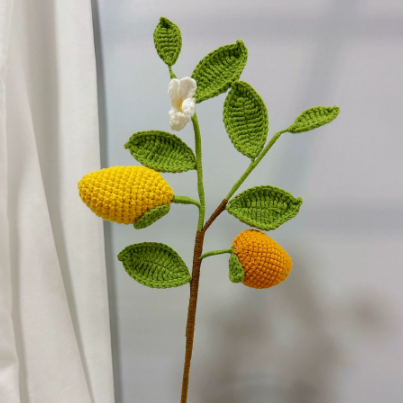 Fruits and vegetables creative hand-crocheted wool