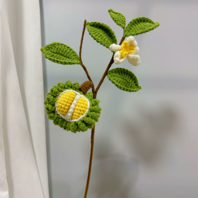 Fruits and vegetables creative hand-crocheted wool