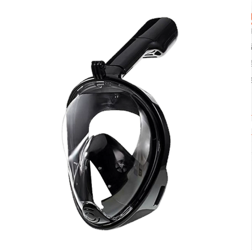 Full Face Snorkel Mask