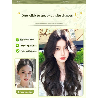 Full head cap of wig