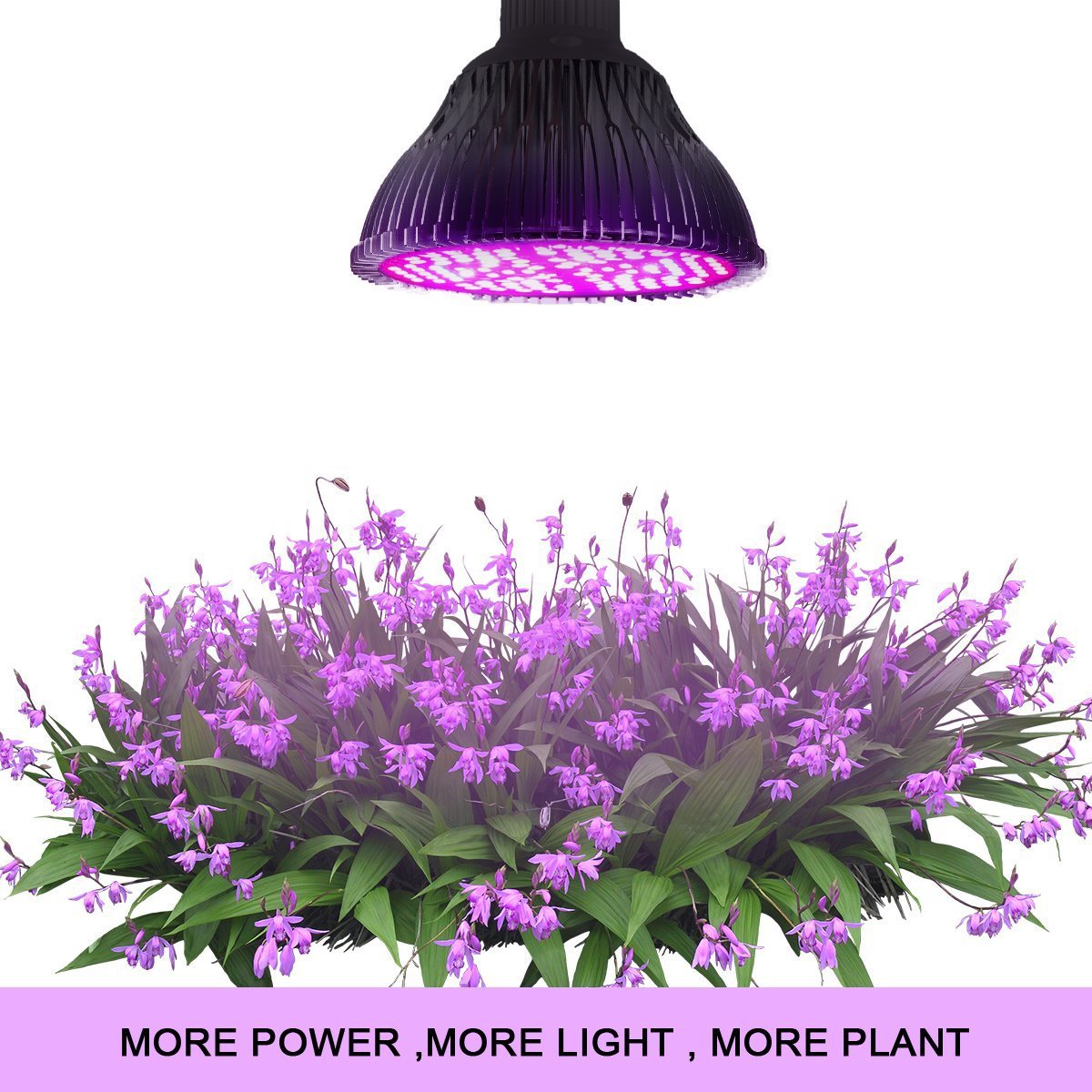 Full-spectrum LED plant growth lamp
