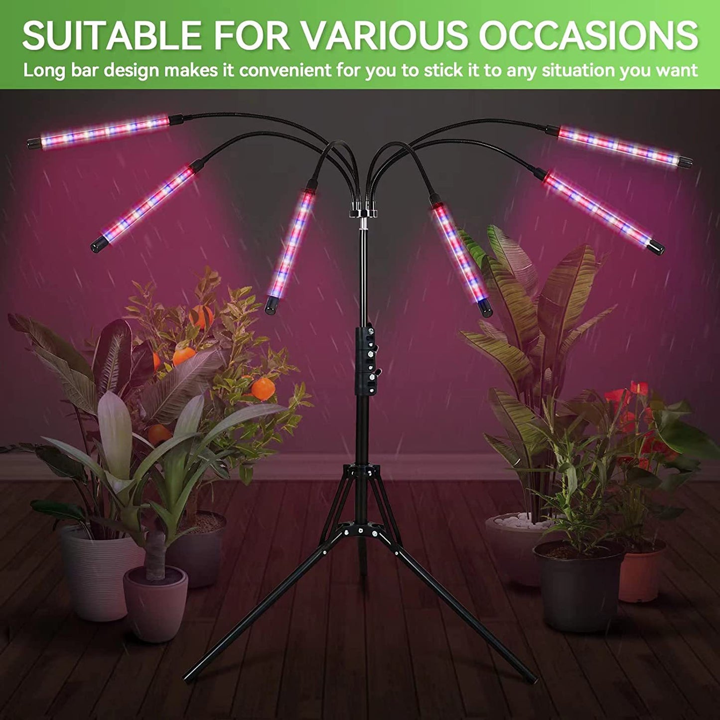 Full spectrum LED plant growth lamp