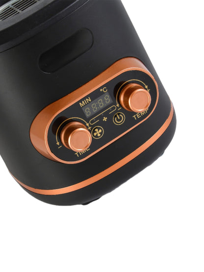 Fully automatic coffee bean roaster