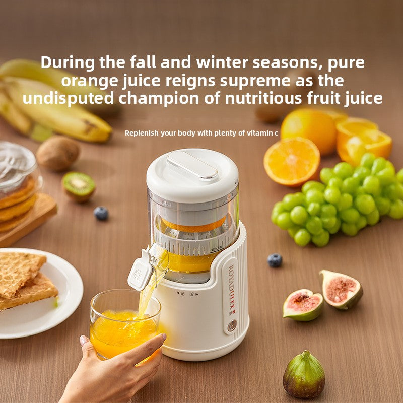 Fully automatic juicer