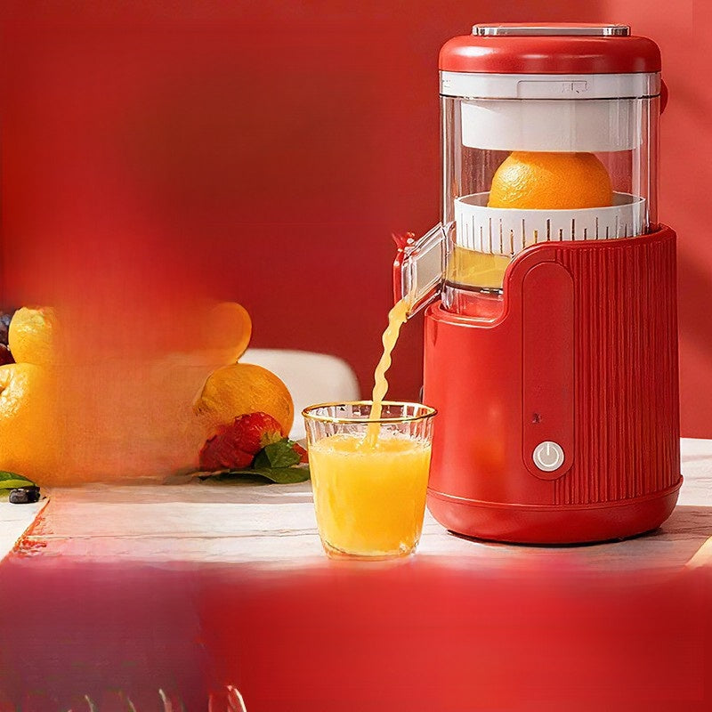 Fully automatic juicer