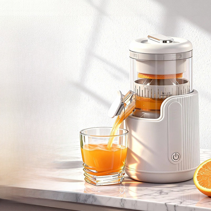 Fully automatic juicer