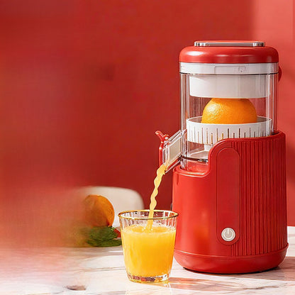 Fully automatic juicer