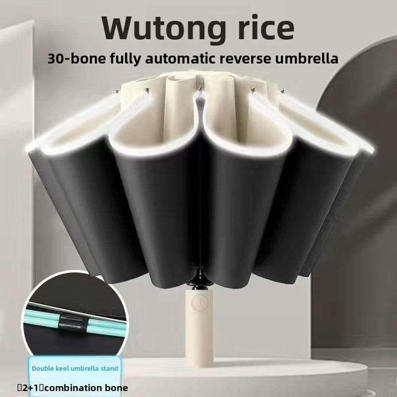 Fully Automatic Umbrella