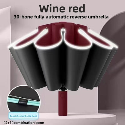 Fully Automatic Umbrella