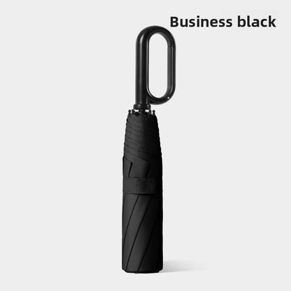 Fully Automatic Umbrella