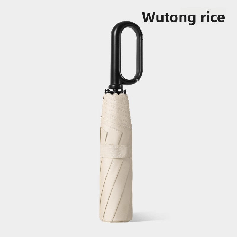 Fully Automatic Umbrella