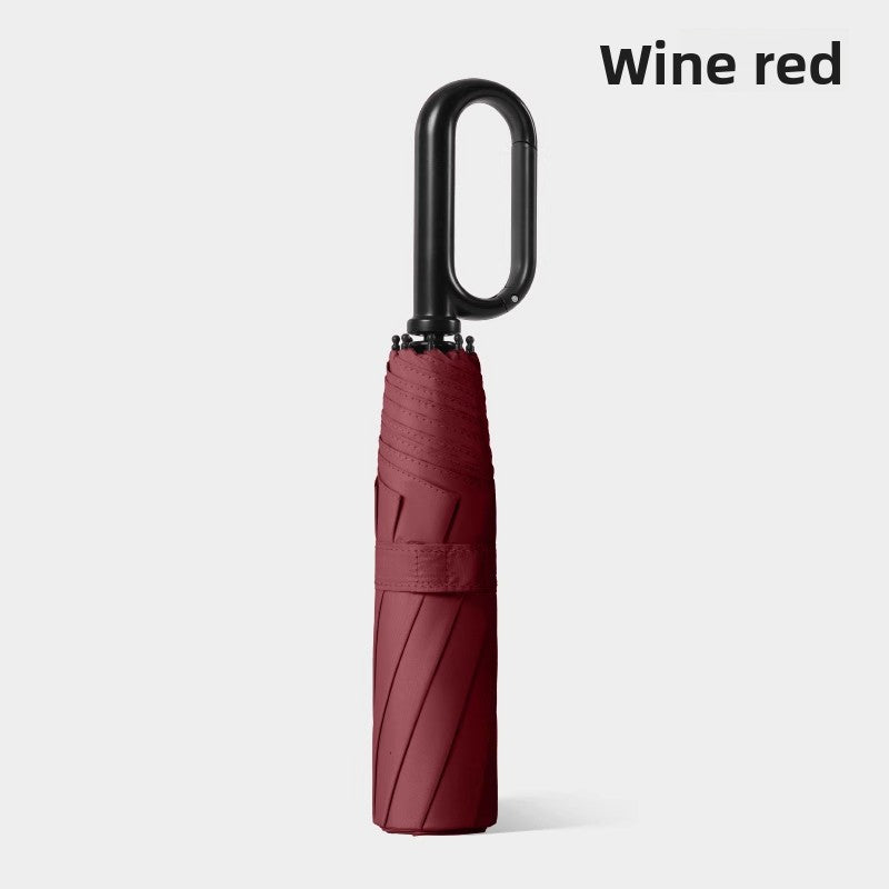 Fully Automatic Umbrella
