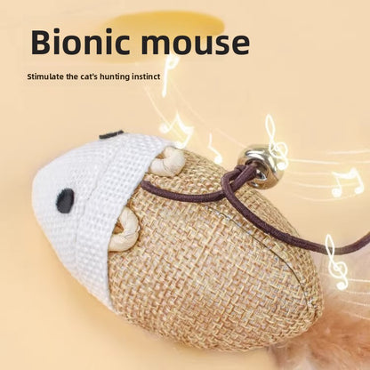 Fun cat stick
