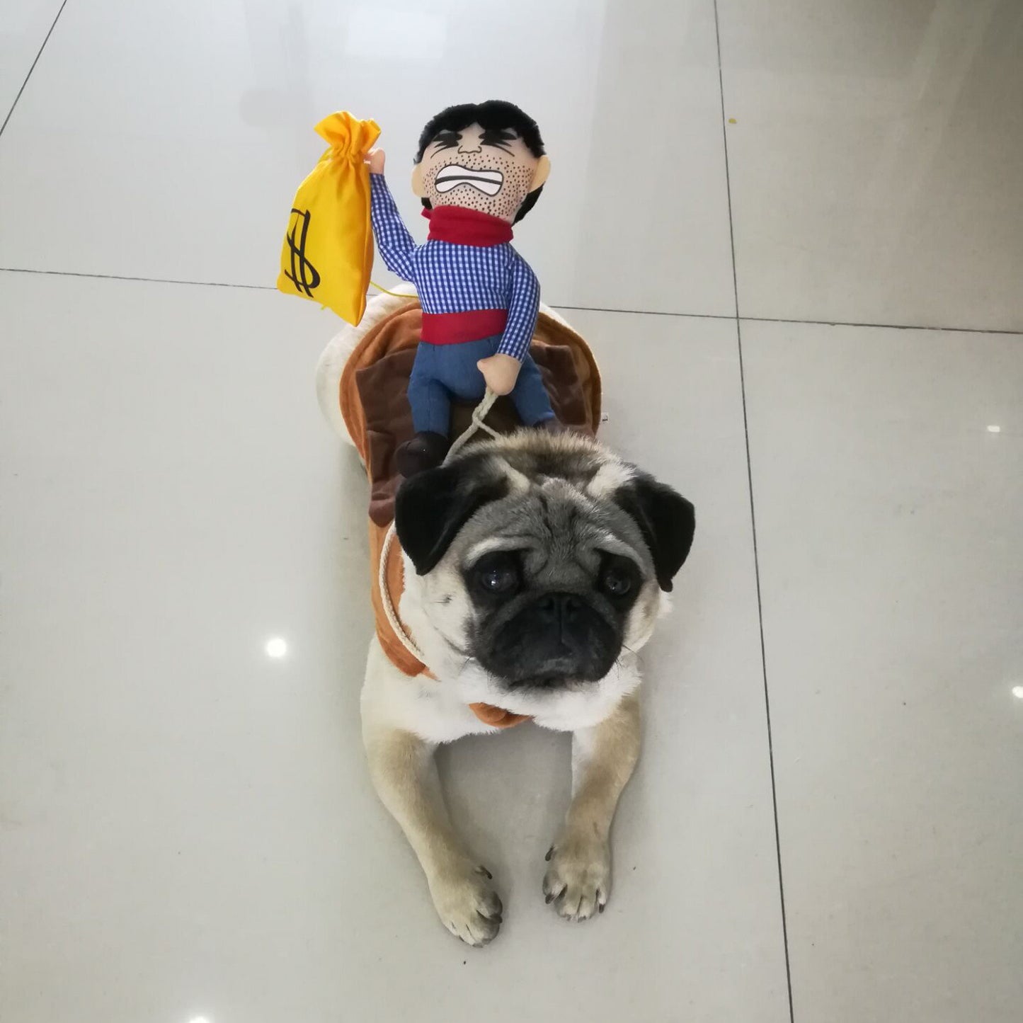 Funny Pet Riding Costume