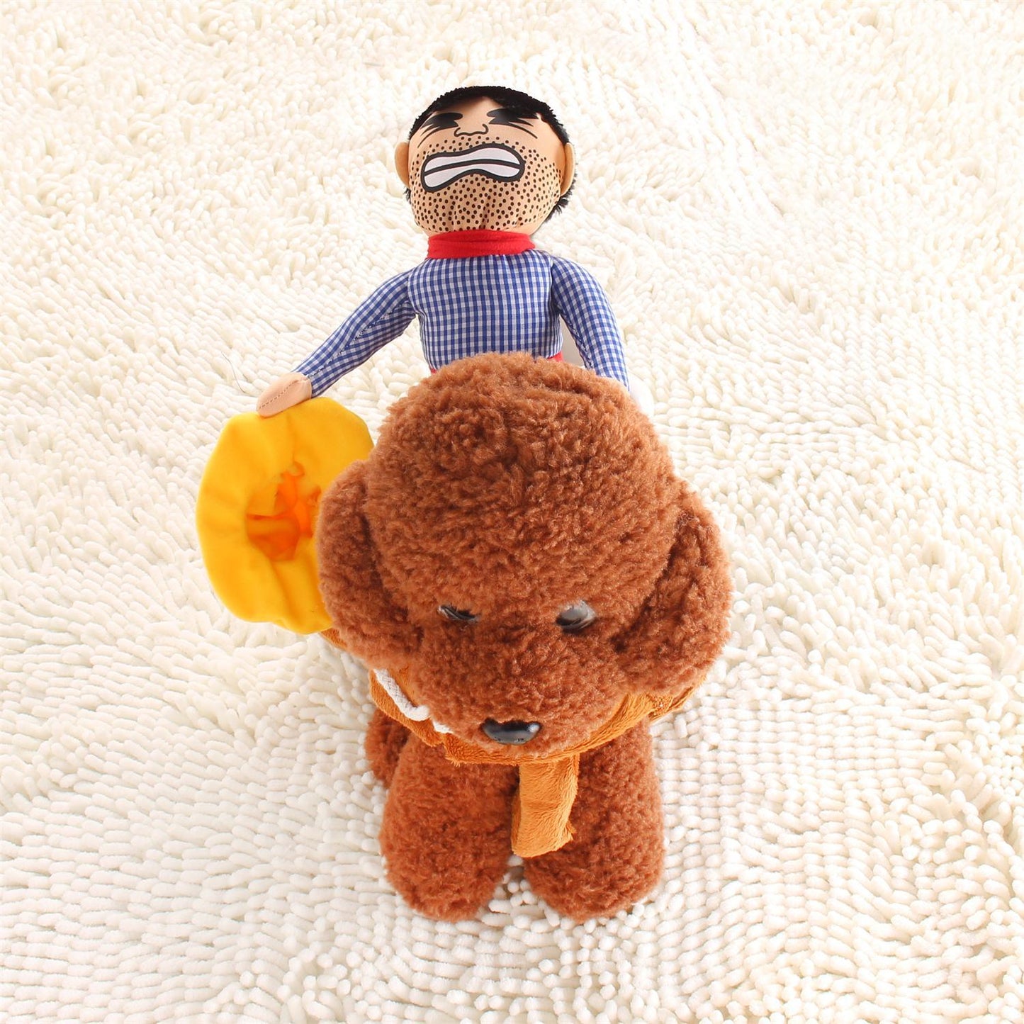 Funny Pet Riding Costume