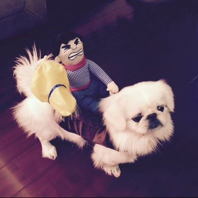 Funny Pet Riding Costume