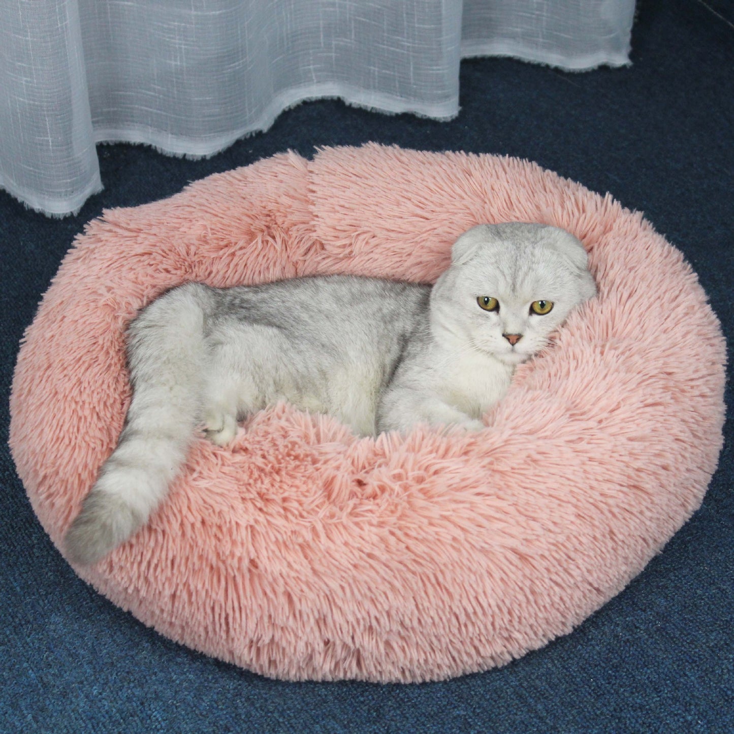 Furry pet bed