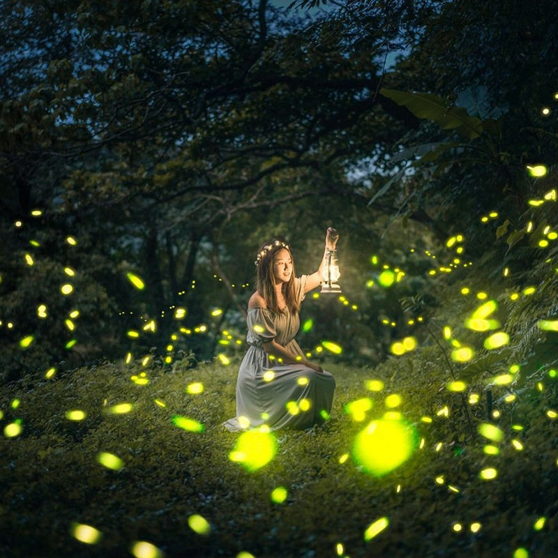 Garden laser lamp