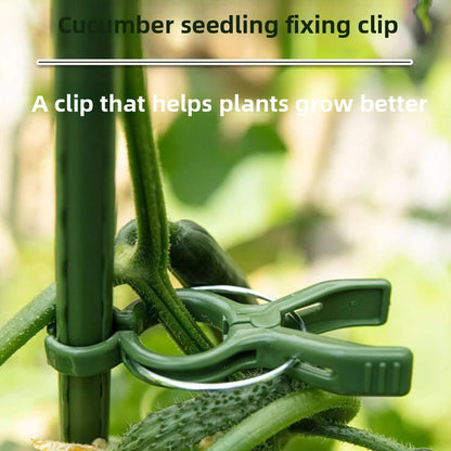 Garden Plant Support Clips