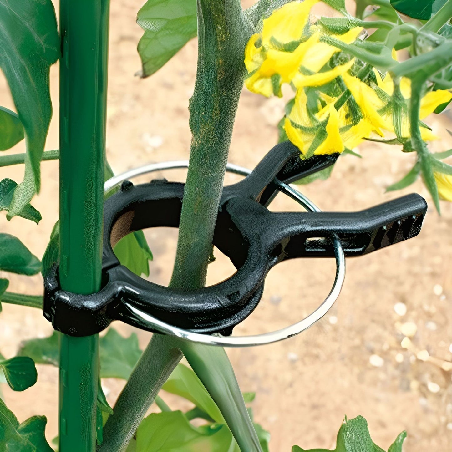 Garden Plant Support Clips