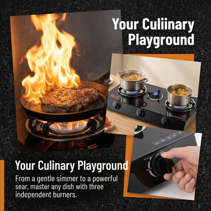 Gas stove
