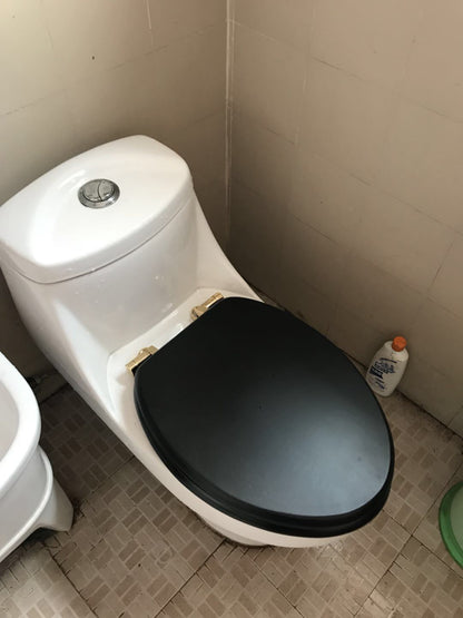 General solid wood toilet cover