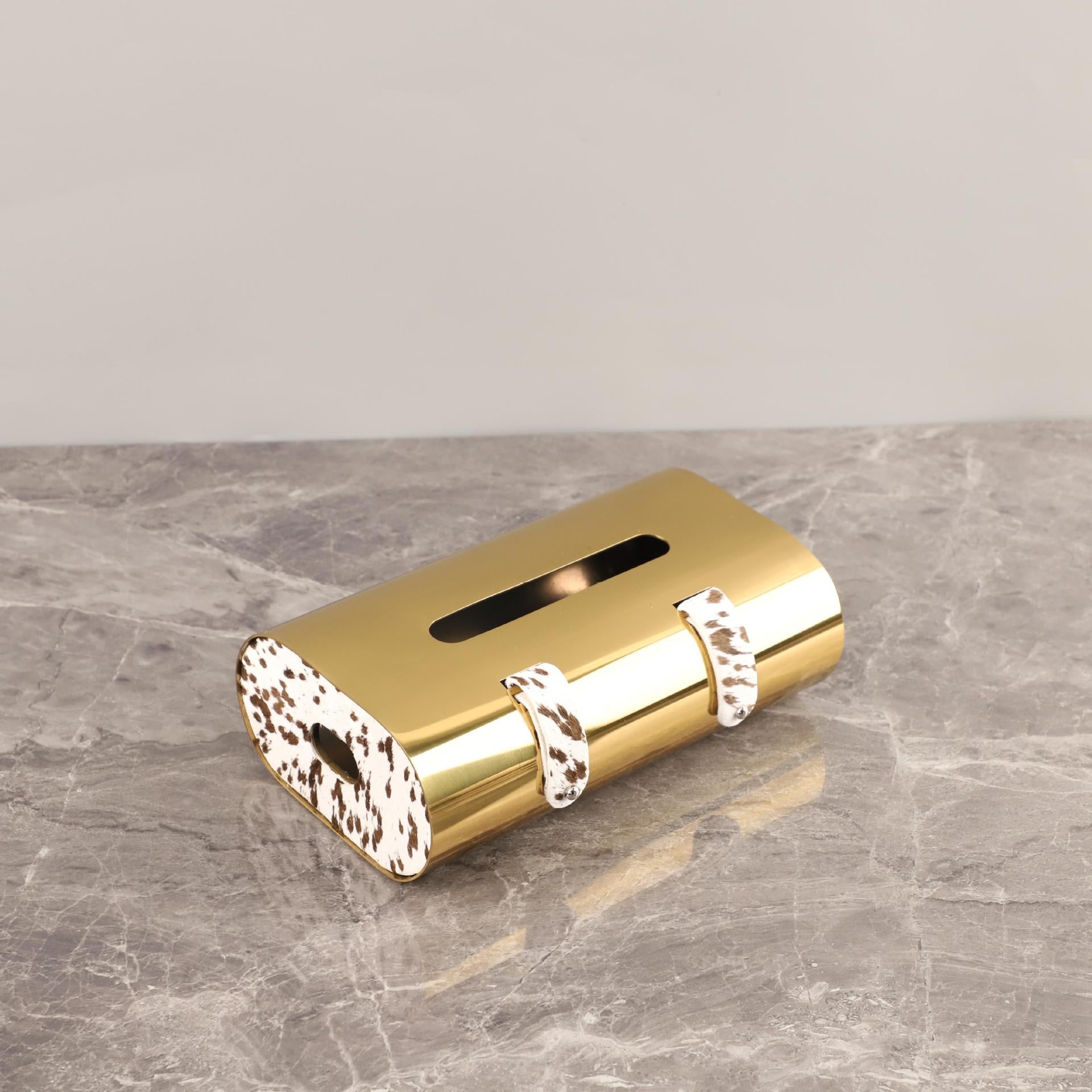 Geometric Metallic Tissue Box Holder