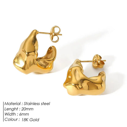 Geometric Titanium Steel Earrings
