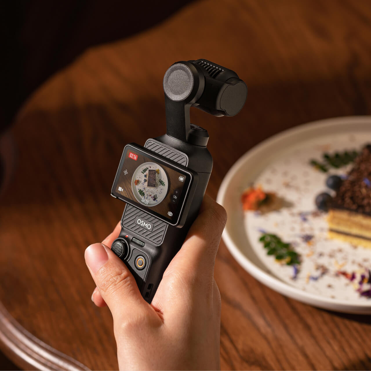 Gimbal Camera