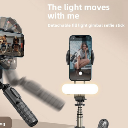gimbal stabilizer