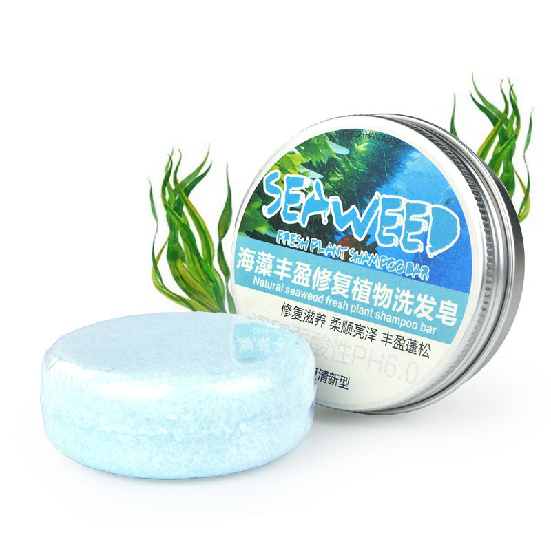 Ginger Shampoo Soap