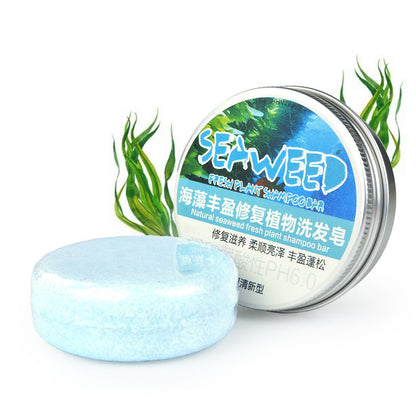 Ginger Shampoo Soap
